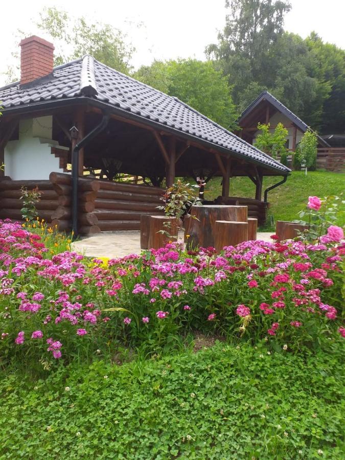 Pensiunea Doina Bucovinei Hotel มานาสทิรีอา ฮูโมรูลุย ภายนอก รูปภาพ
