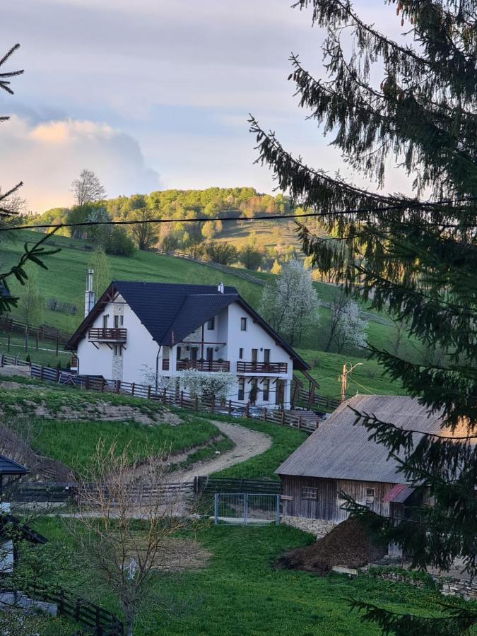 Pensiunea Doina Bucovinei Hotel มานาสทิรีอา ฮูโมรูลุย ภายนอก รูปภาพ