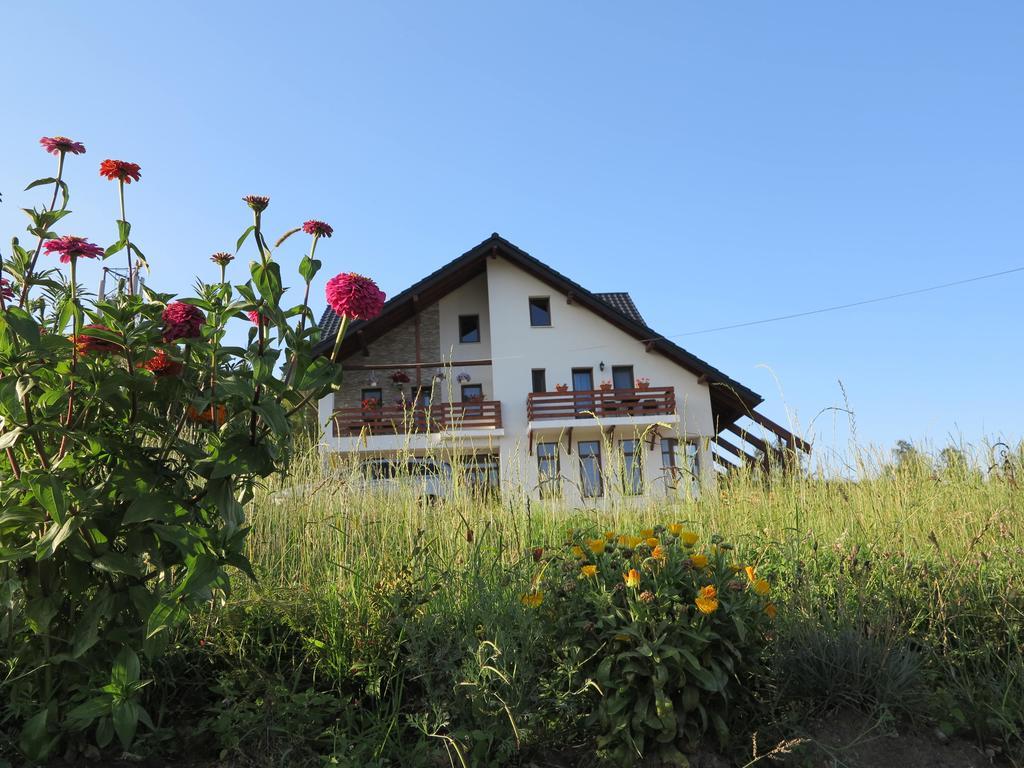Pensiunea Doina Bucovinei Hotel มานาสทิรีอา ฮูโมรูลุย ภายนอก รูปภาพ