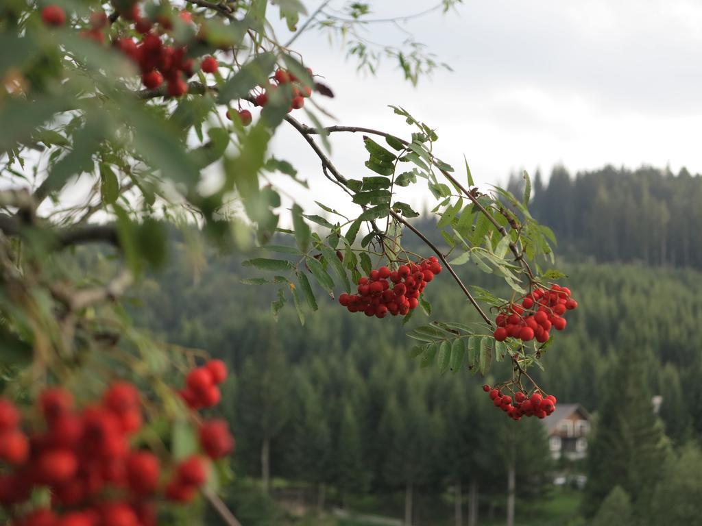 Pensiunea Doina Bucovinei Hotel มานาสทิรีอา ฮูโมรูลุย ภายนอก รูปภาพ